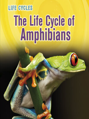 cover image of The Life Cycle of Amphibians